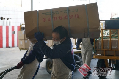 云南铁路：受疫情影响 今年鲜花运输总重量仅为去年同期13%