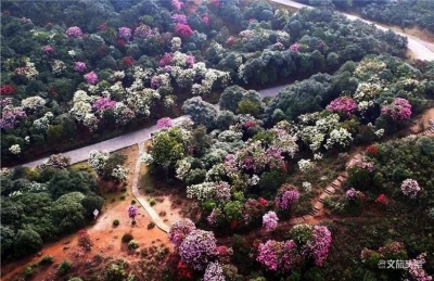 【高清美图】师宗凤凰谷景区恢复营业