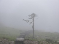 图集 | 待一切安好 邀你来云南（风景篇）