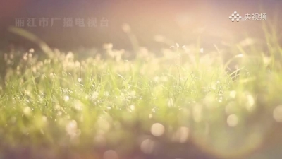丽江公益MV《爱的春天》