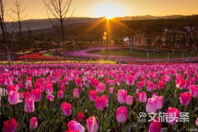 @全国医务工作者 请收下红河州为您定制的旅游大礼包！