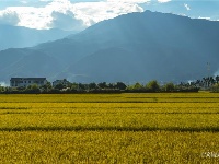 图集 | 待一切安好 邀你来云南（风景篇）