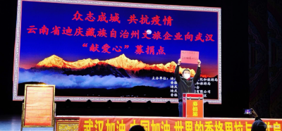 迪庆州旅游集团同力协契 助力打赢疫情阻击战