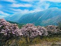 图集 | 待一切安好 邀你来云南（风景篇）