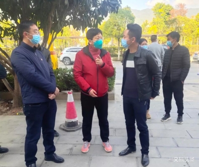 临沧市文化和旅游局一手抓疫情防控、一手抓复工复产