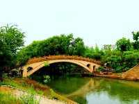 图集 | 鲜花朵朵开 石林好春光