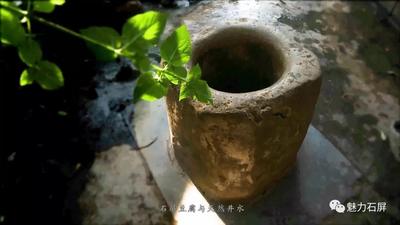 【征集令】“石屏豆腐”标志 等待你的设计~