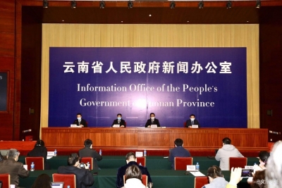 成品油库存约60万吨 云南省生活必需品供应充裕 蔬菜价格平稳 