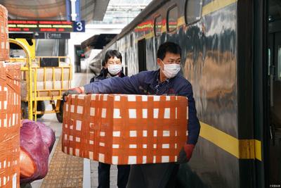 日均运输鲜花220件  云南铁路确保“云花”出滇