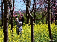 图集 | 漫步花海 享受磨盘山无限春光