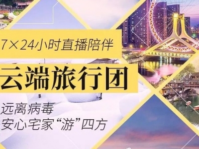 OTA搭台，“云旅游”悄然兴起，来干这些事儿，足不出户也很快乐！