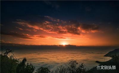 疫散花开，我在美丽苗乡·森林屏边等你