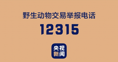没进目录，一律禁食！
