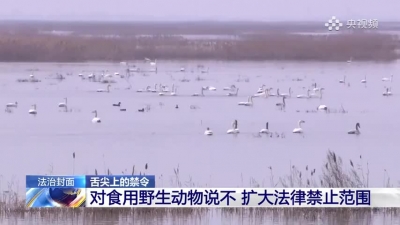 视频 | 全面禁食野生动物有何意义？专家解读