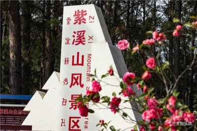 在线开启“云赏花” 看遍云南早春花海