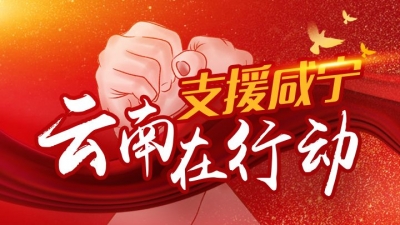 咸宁加油！武汉加油！中国加油！云南网友祈福援咸医生完成使命安全回滇