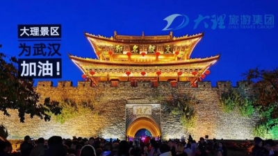 致敬最美逆行者！大理崇圣寺三塔等6大景区全年向全国医务工作者免费开放