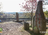 图集｜遇见满山花 邂逅磨盘山