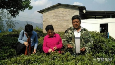 云南重点文旅项目建设指导组到临沧调研