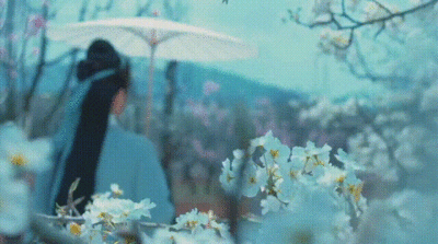 春来疫散，昆明新晋十大最美赏花地，你最想先去哪一个？