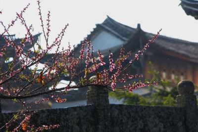 通告！和顺古镇景区于3月27日起有序开放