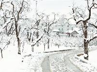 图集 | 鼠年到，会泽水城梨园的一番雪景