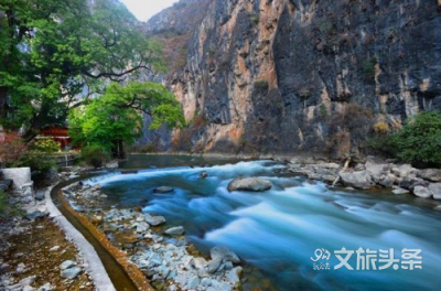 【云游迪庆】春夏最美时节 一起相约花开凉爽的香格里拉