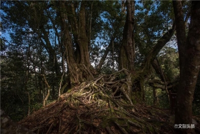 夏至已至，红河这里为你带来一份夏日清凉！