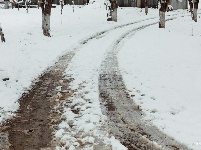 图集 | 鼠年到，会泽水城梨园的一番雪景