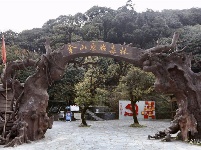 图集 |秘境传说——哀牢山之金山原始森林