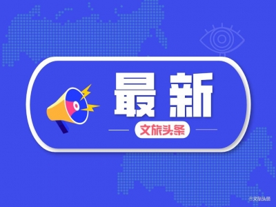 6月国内航司国际航班计划