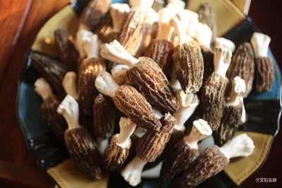 一口鲜味，开春第一味山珍送给你