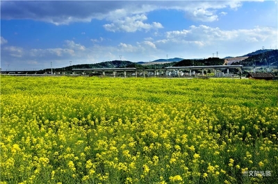 昆明至大理、丽江等方向加开列车  满足旅客踏青祭祀出行需求