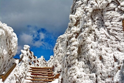 让你心心念念的轿子雪山景区本周六恢复开放，门票半价优惠！