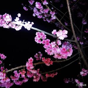 陶源溪谷花开果飘香 勾勒曲靖富源“农旅”美丽画卷