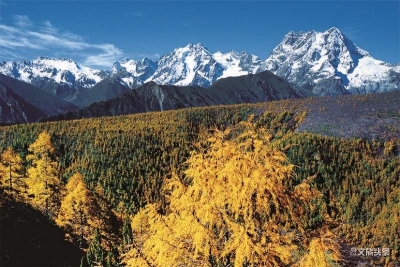 【云游迪庆】香格里拉·草之景
