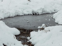 图集 | 鼠年到，会泽水城梨园的一番雪景