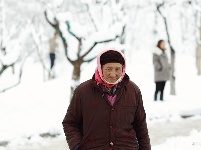 图集 | 鼠年到，会泽水城梨园的一番雪景