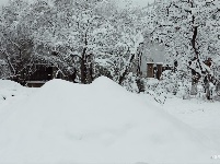 图集 | 鼠年到，会泽水城梨园的一番雪景