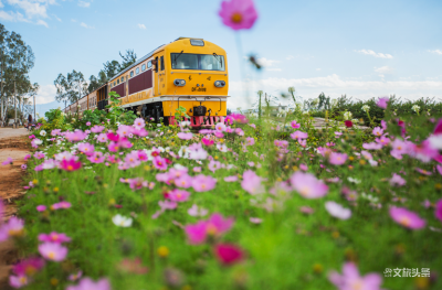 红河州开展3A级景区评定工作，快来看看有哪些景区迎考！