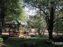 图集｜遇见满山花 邂逅磨盘山