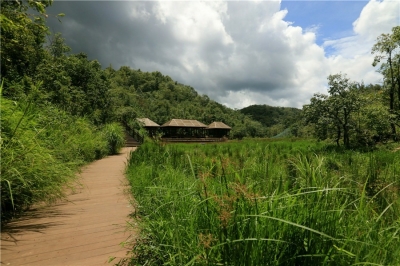 世界野生动植物日丨越来越多鸟类在太阳河森林公园安家