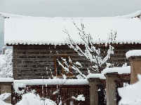 图集 | 鼠年到，会泽水城梨园的一番雪景