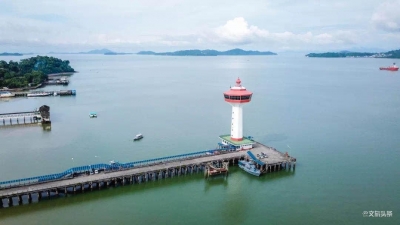 重启2020， 一起看遍这花花世界