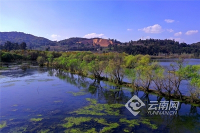 昆明首个！晋宁南滇池湿地晋升国家湿地公园【组图】