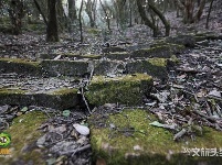 图集｜遇见满山花 邂逅磨盘山