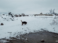 图集 | 鼠年到，会泽水城梨园的一番雪景