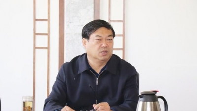 大理州州長楊健要求抓實(shí)抓細(xì)文旅企業(yè)復(fù)工復(fù)產(chǎn)