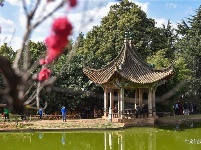 图集 | 昙华寺公园恢复开放 赏花晒太阳