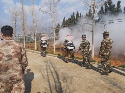 3月底前完成布点！云南27个县为沙漠蝗监测重点
